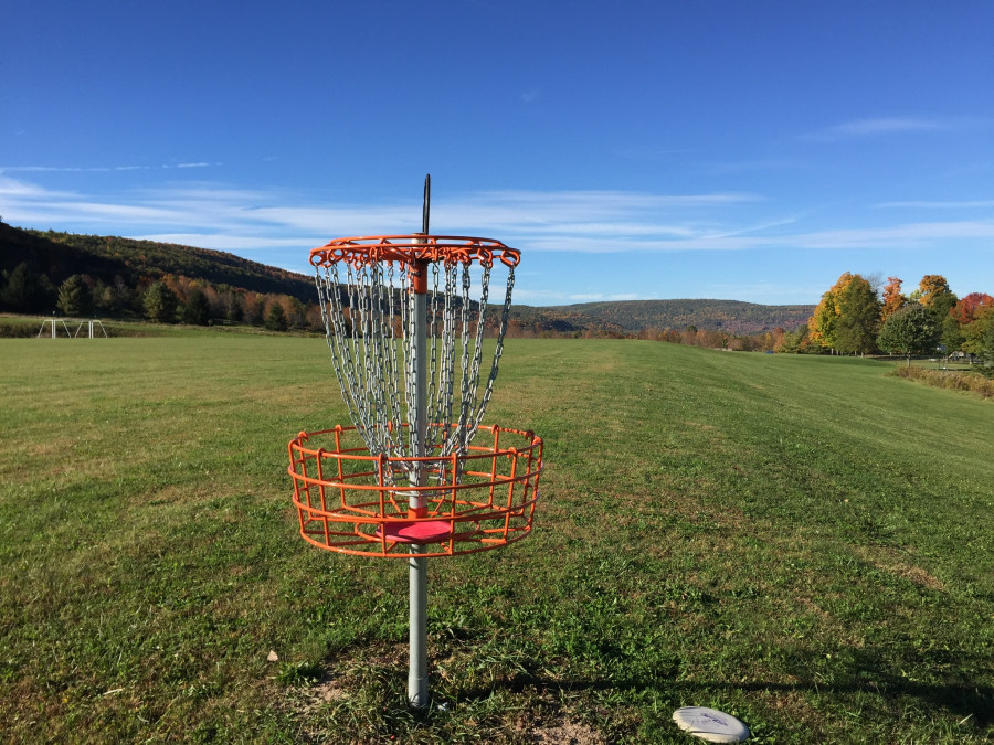 disc golf scene