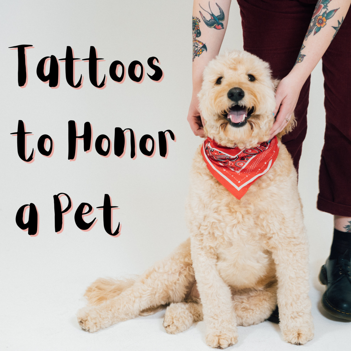 dog memorial tattoo