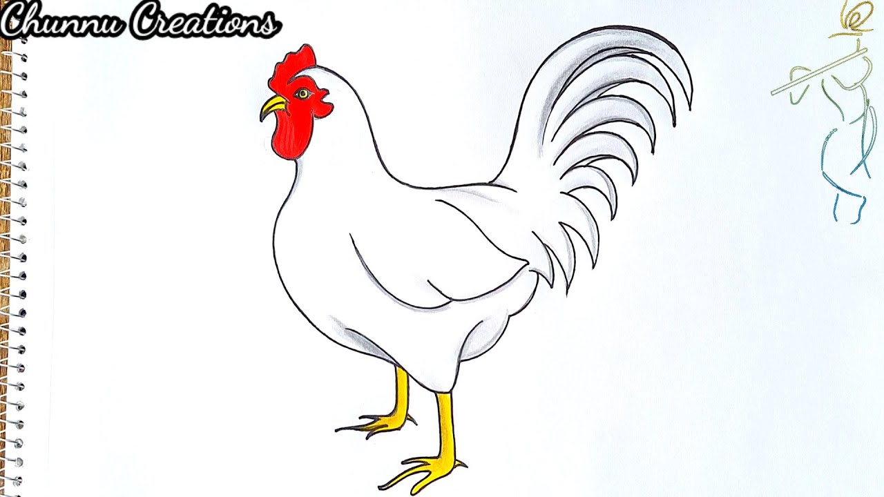 easy cock drawing