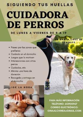 cuidador de perros empleo