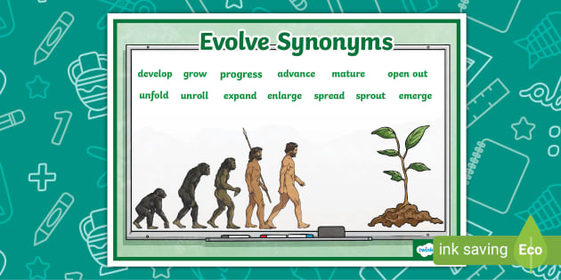 evolve thesaurus