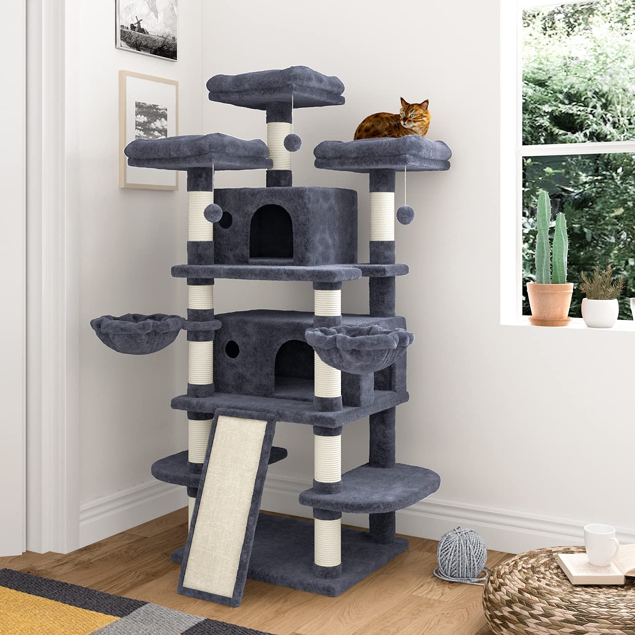 cat condo for large cats