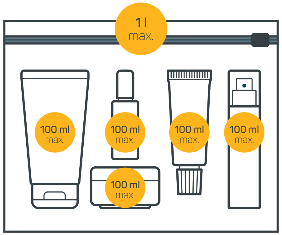 hand luggage dimensions klm