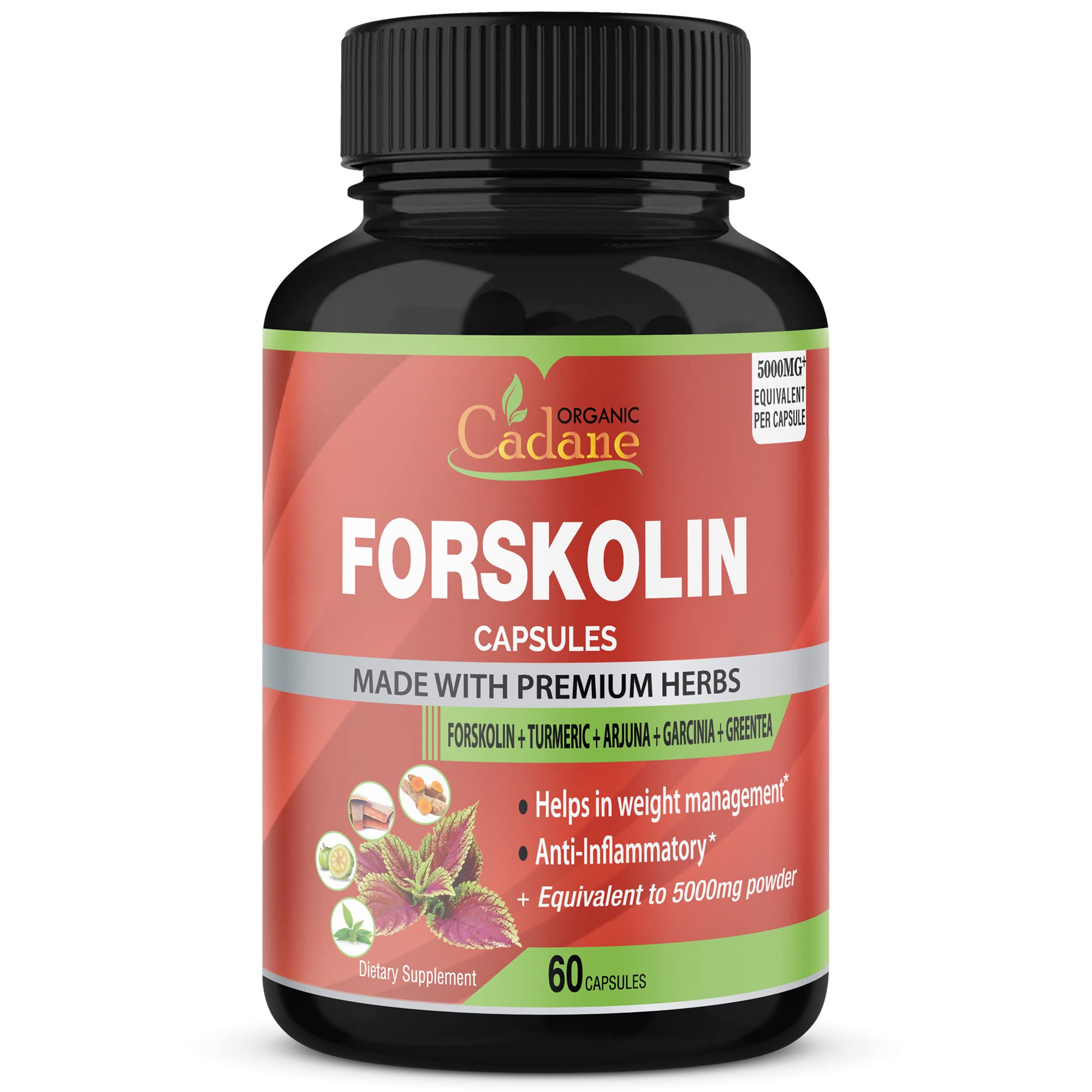 forskolin diet