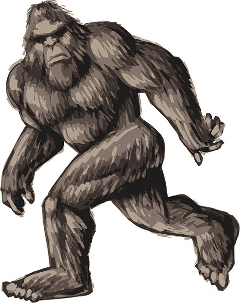 bigfoot illustration