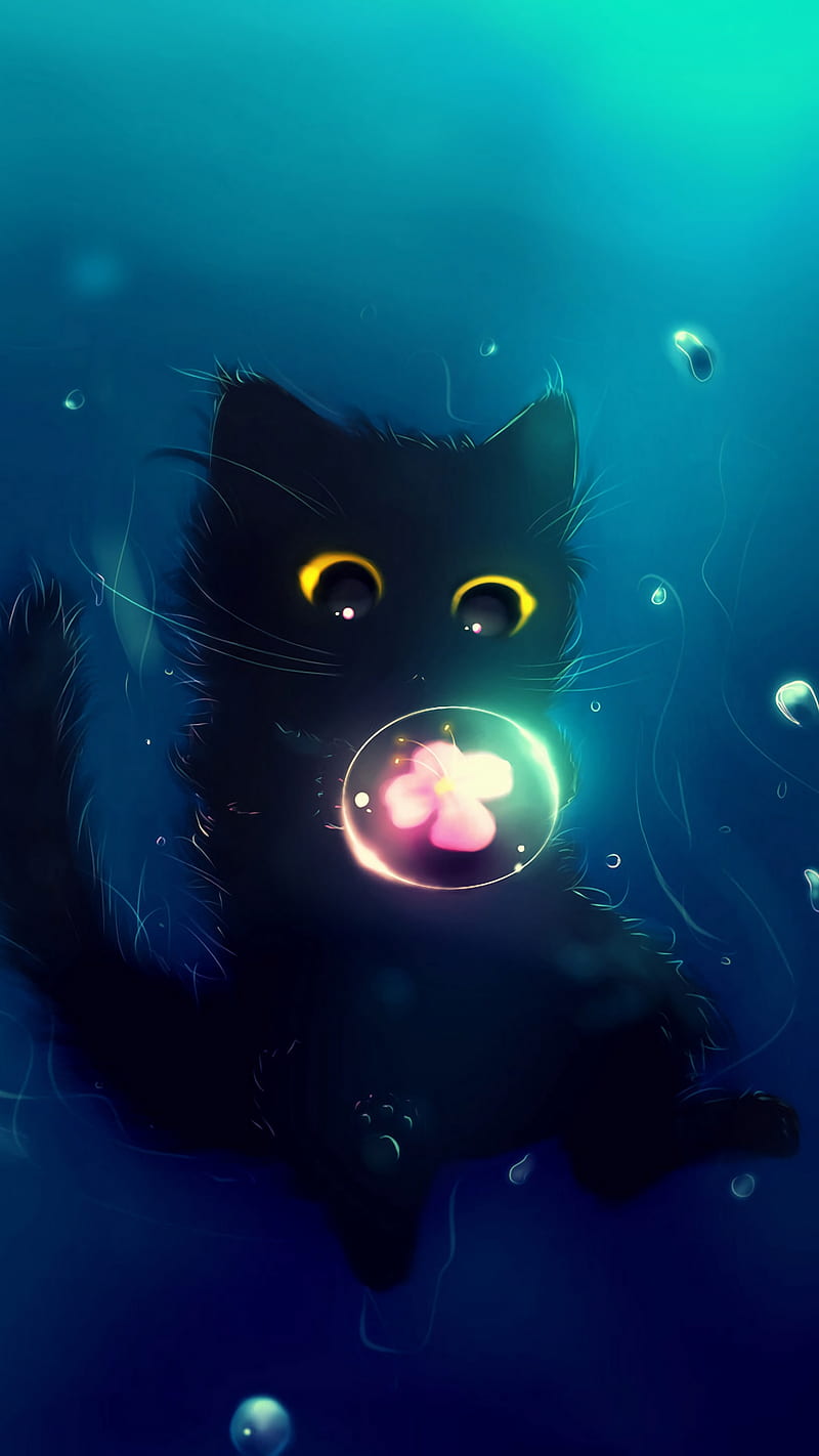 cute black cat wallpaper