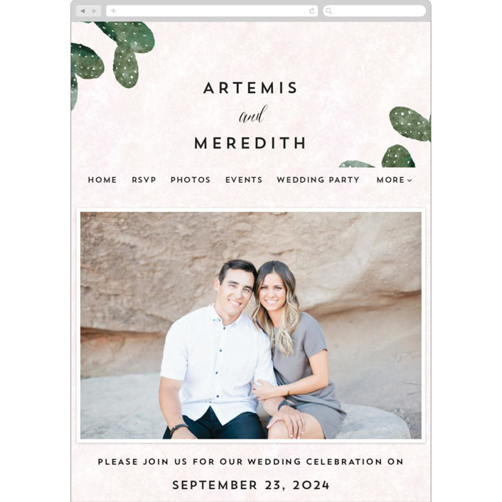 minted wedding website examples