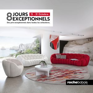 roche bobois black friday