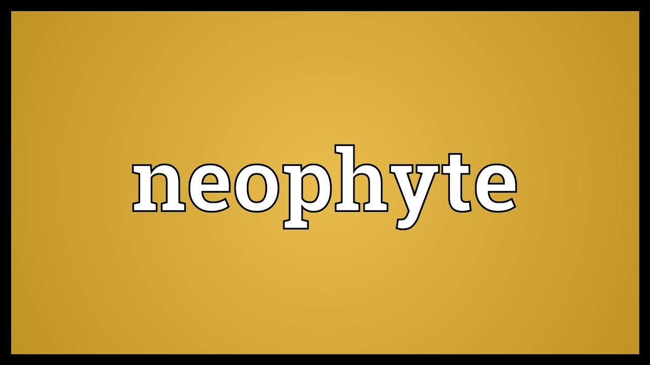 neophyte synonym