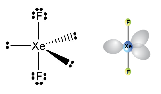 shape of xef2