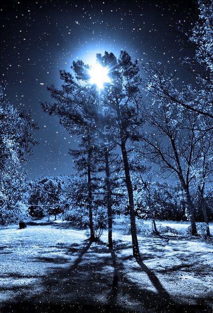 nighttime snow scene