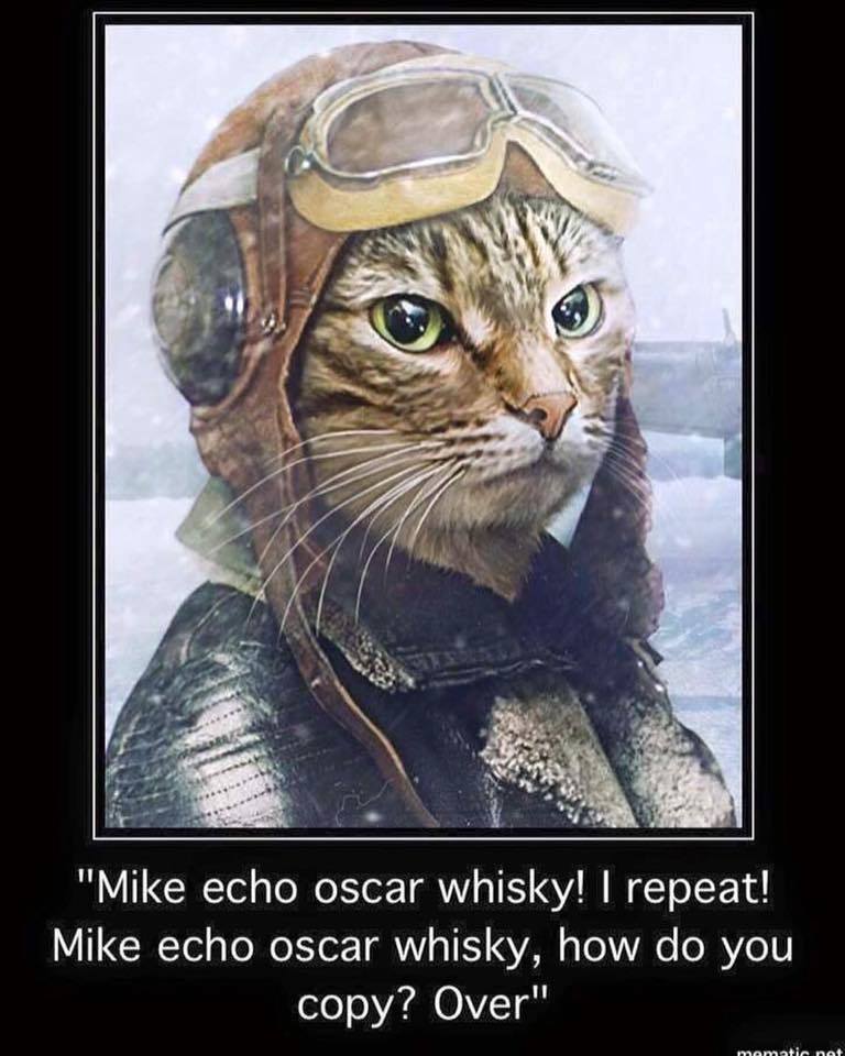 whiskey fox whiskey mike