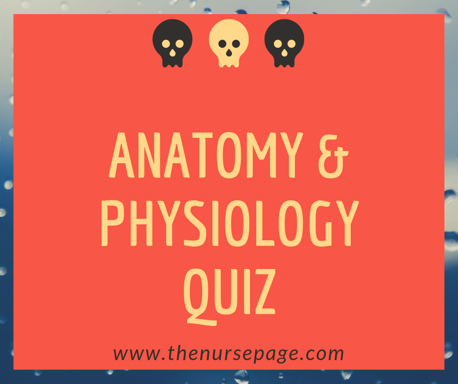 anatomy and physiology quiz nursing