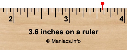 3.6 inches to cm