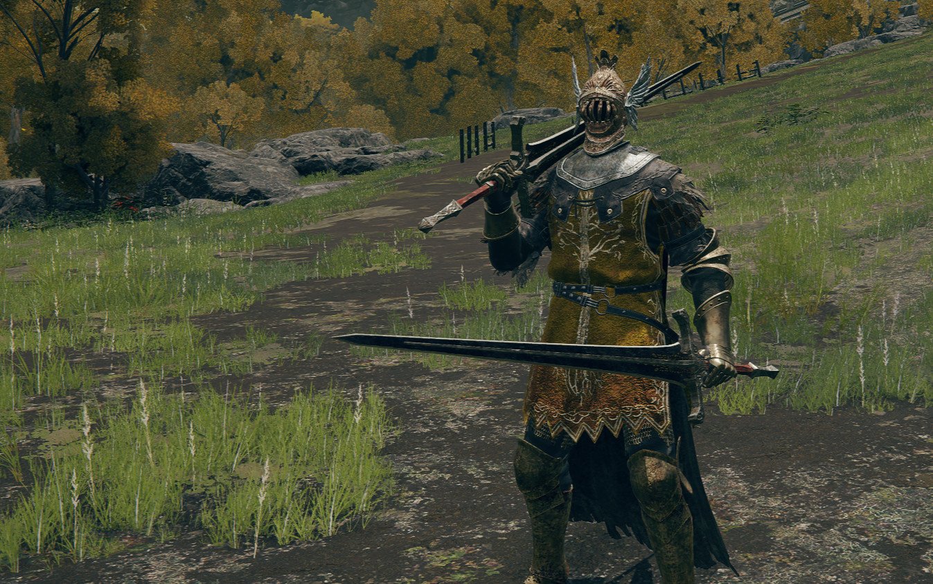 ds2 power stance