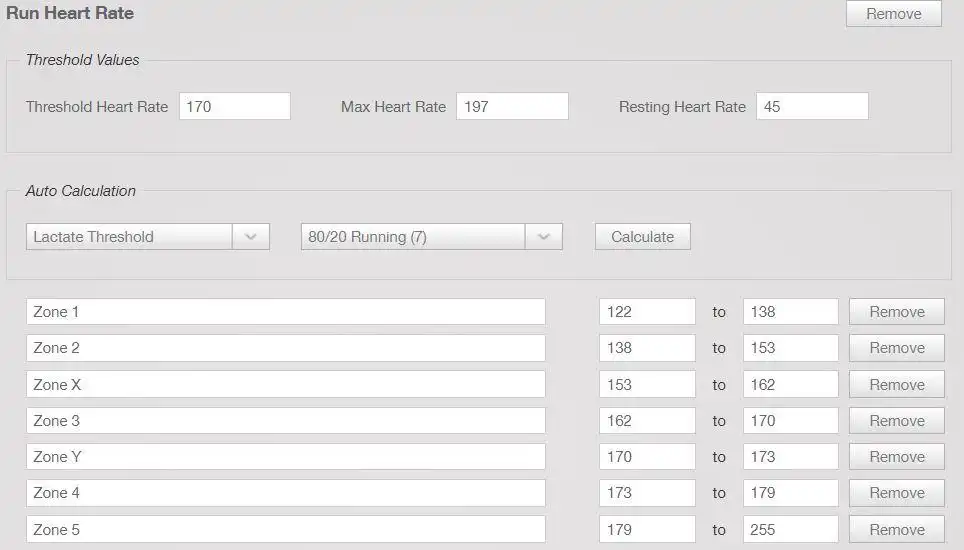 80/20 training peaks