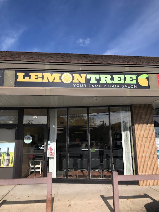 lemon tree commack