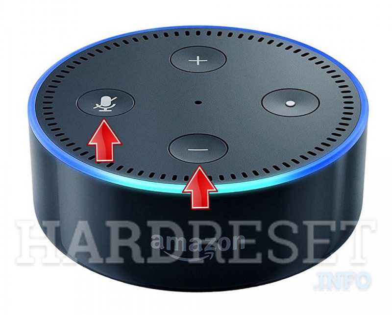 reset alexa dot