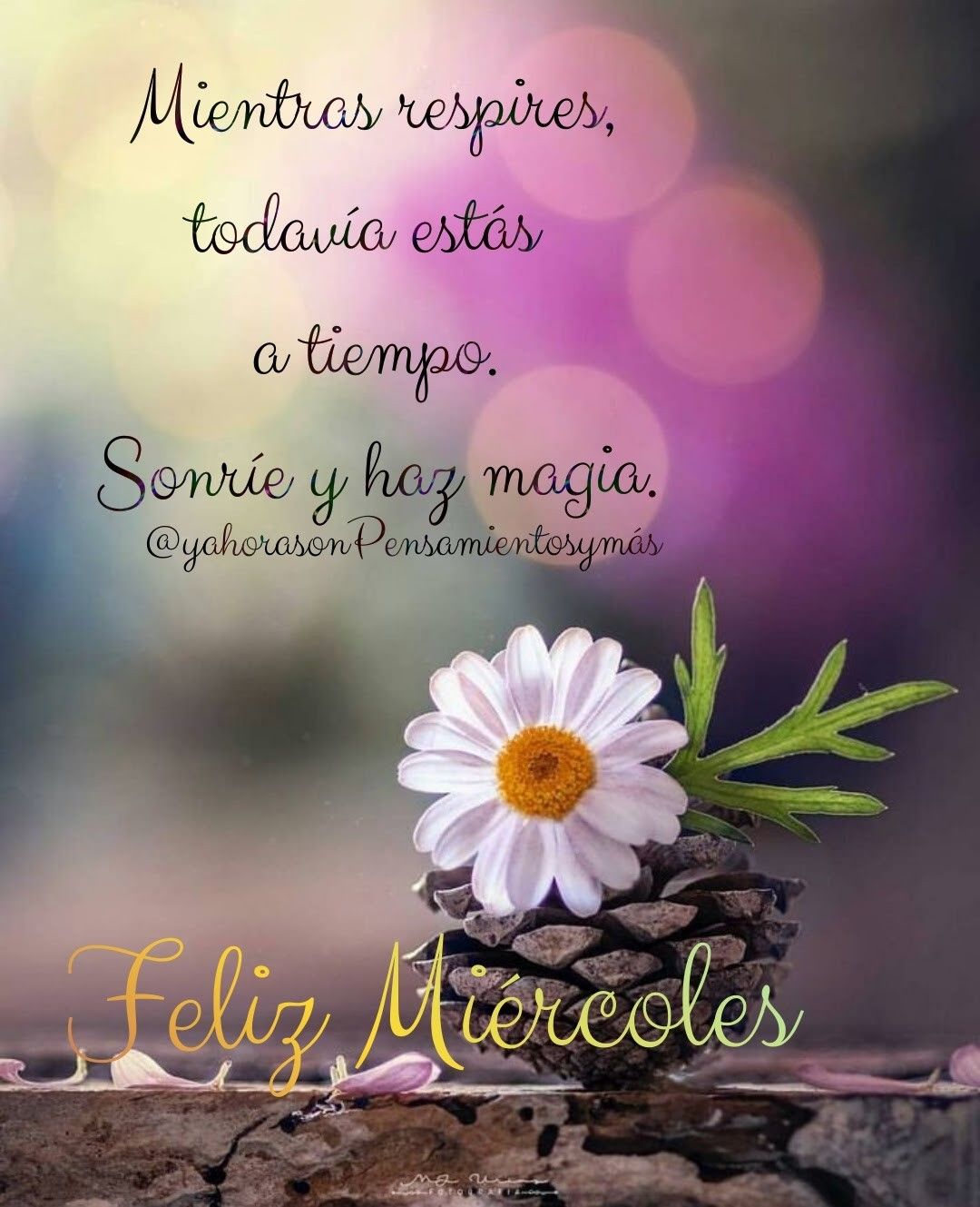 miercoles frases positivas