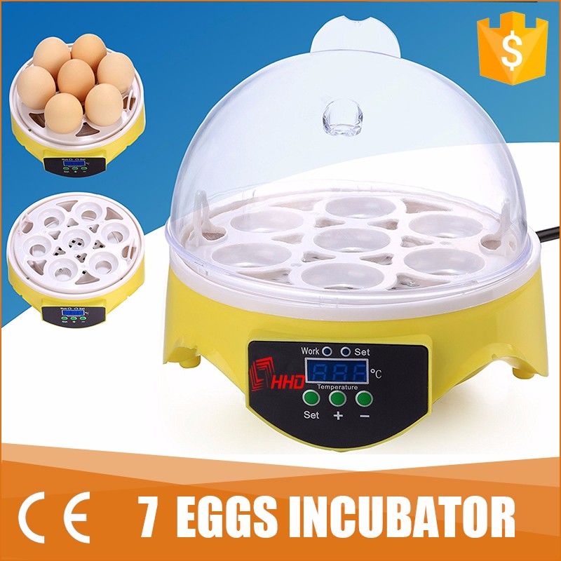 small egg incubator