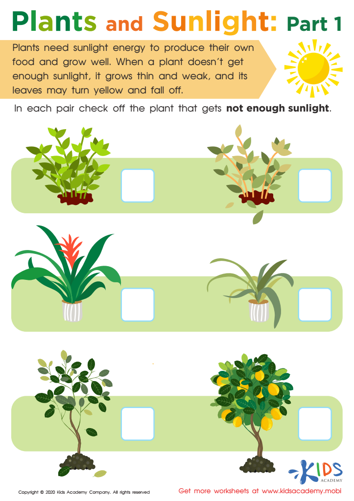 plants worksheet for grade 1