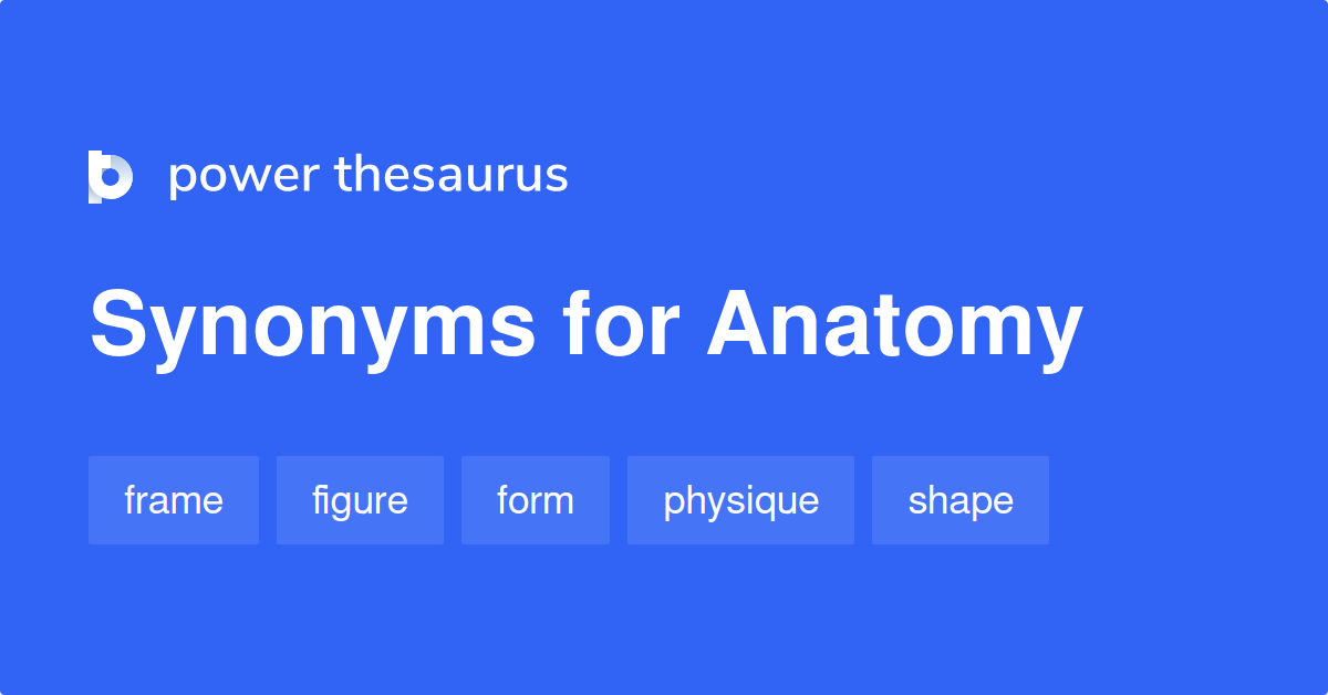 anatomy and synonyms