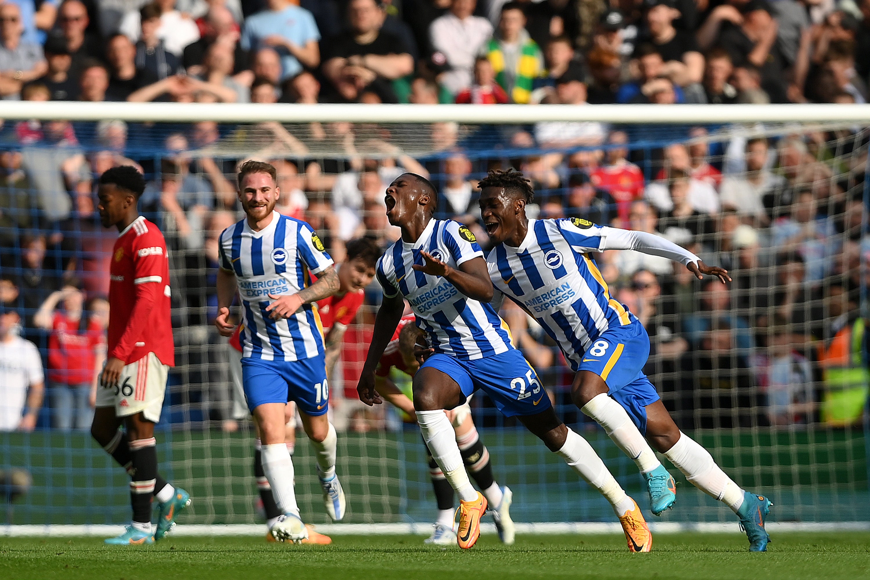 brighton & hove albion results