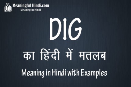 veiled dig meaning in hindi