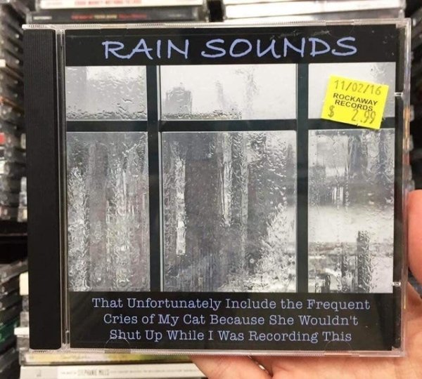 rain sounds cd