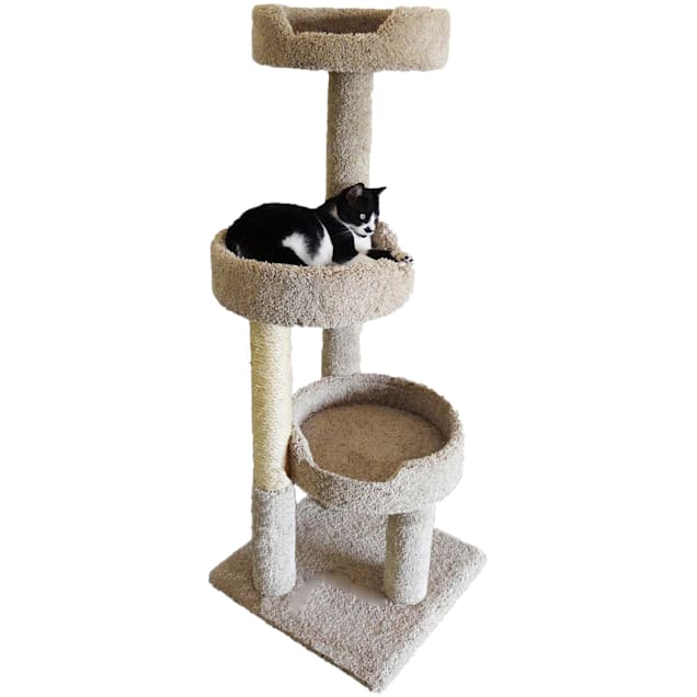 cat condos for cheap