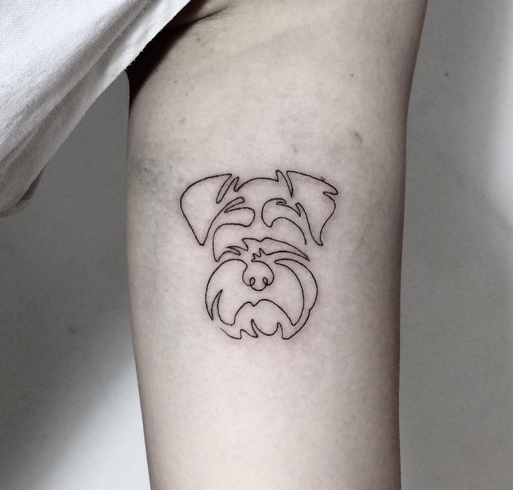 miniature schnauzer tattoo