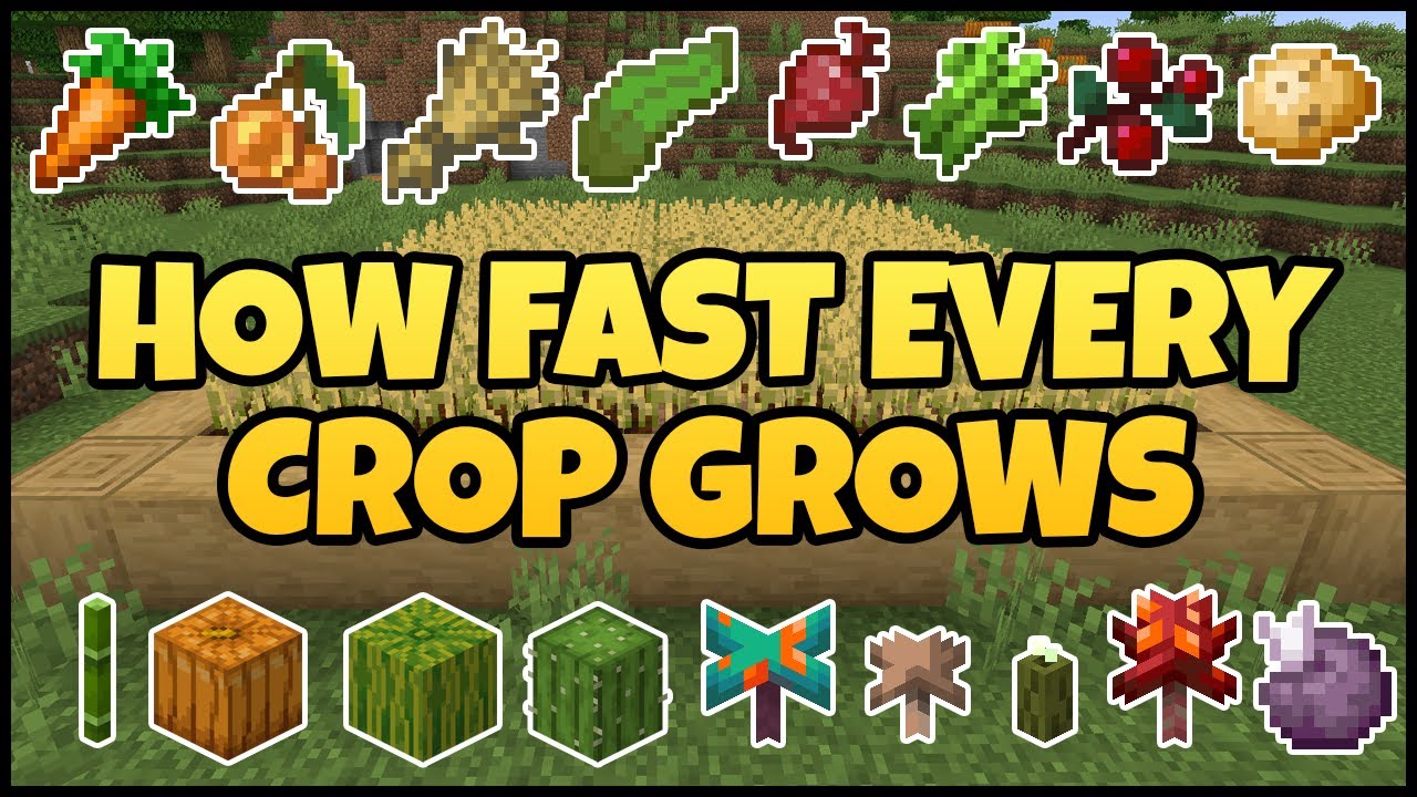 crops minecraft