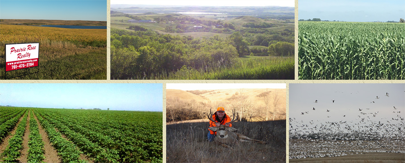 north dakota farms for sale