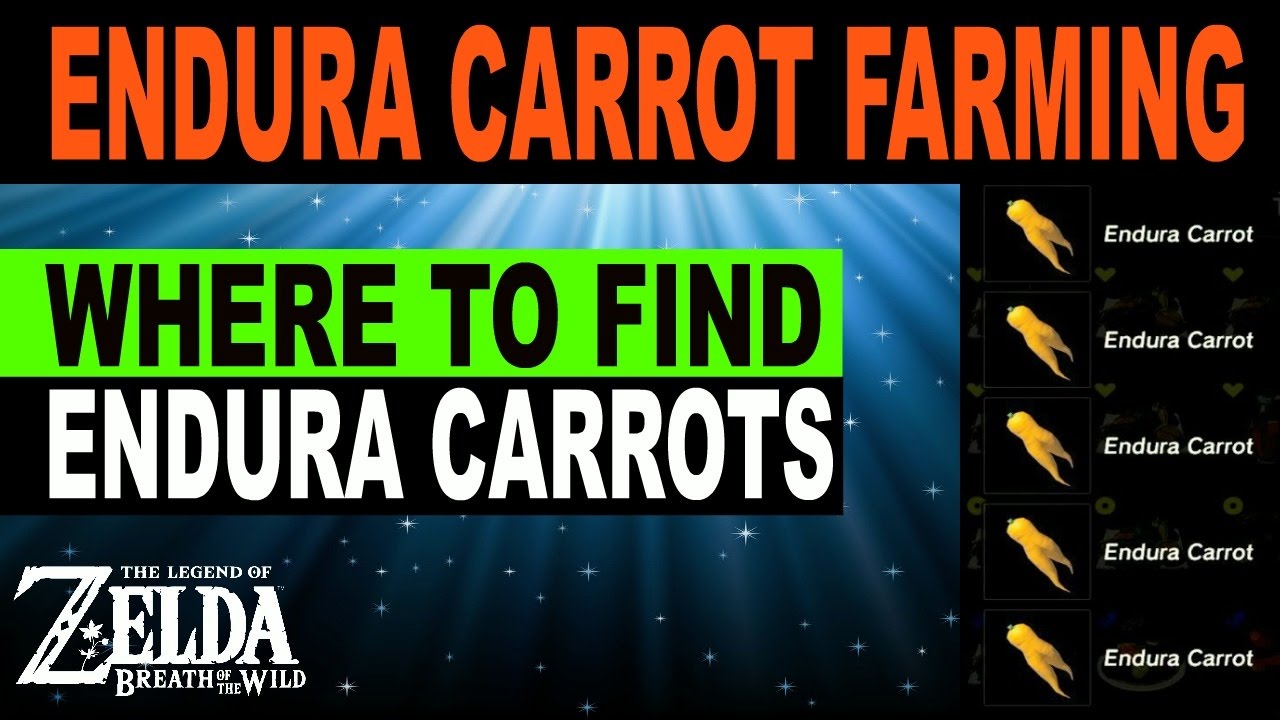 endura carrot recipe