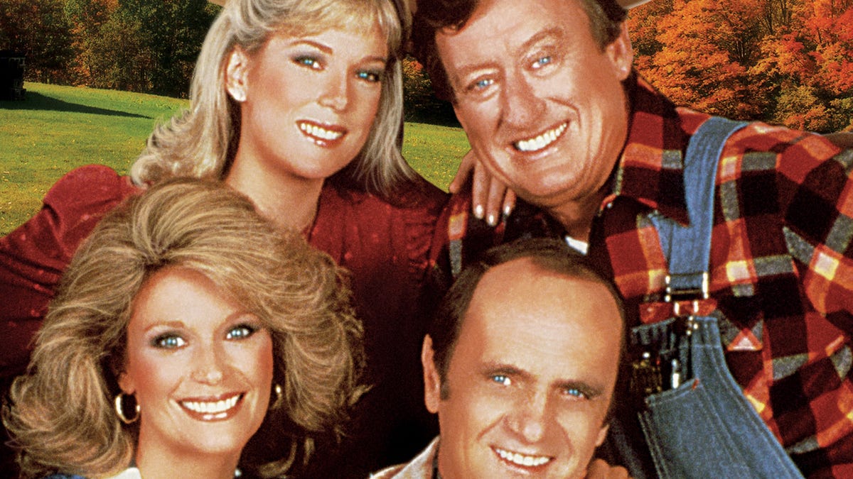 tv show newhart