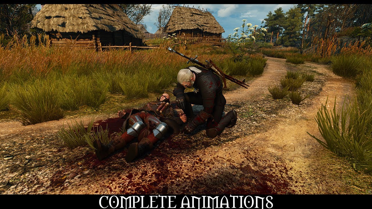 complete animations witcher 3