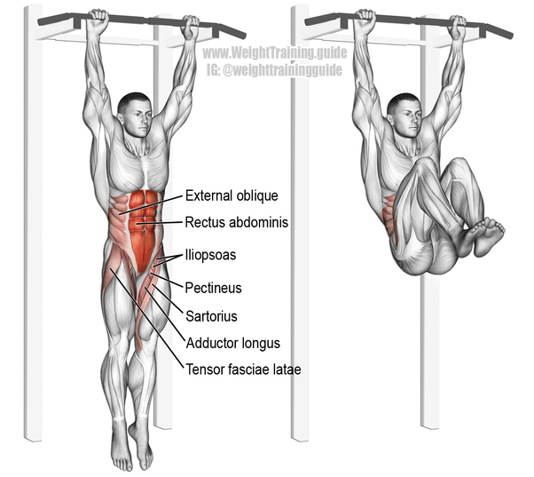 pull up bar ab workout