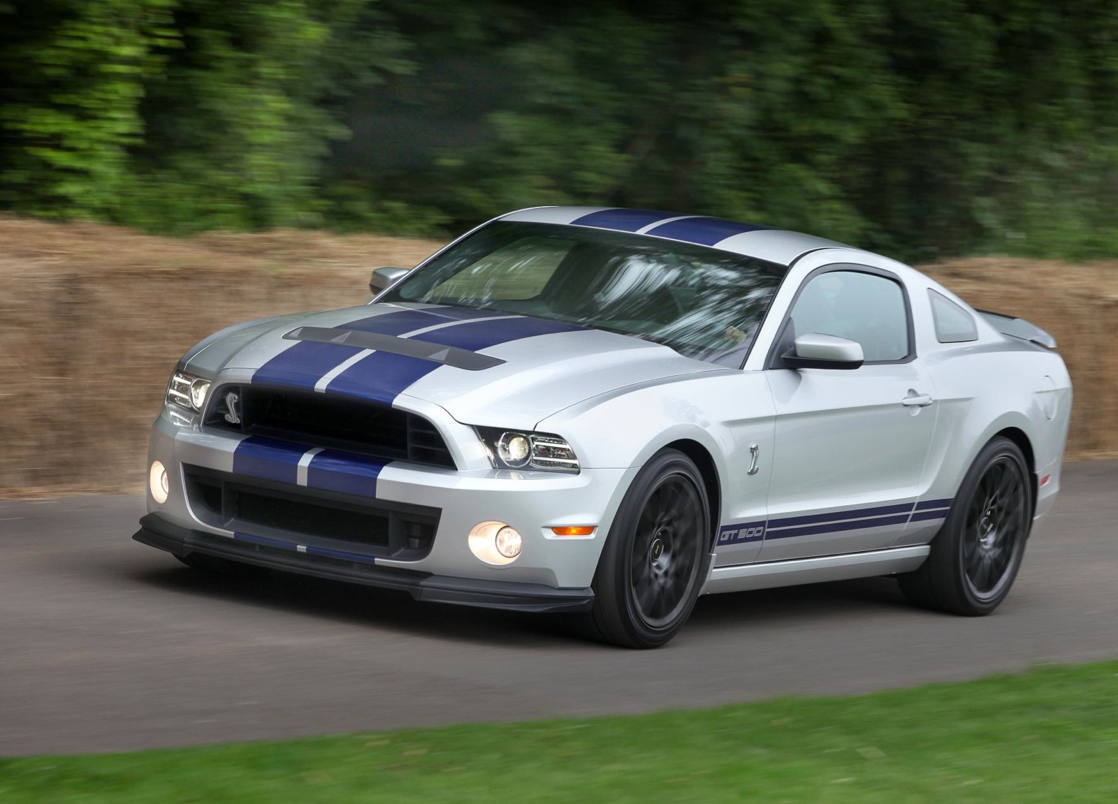 mustang shelby cobra 2014