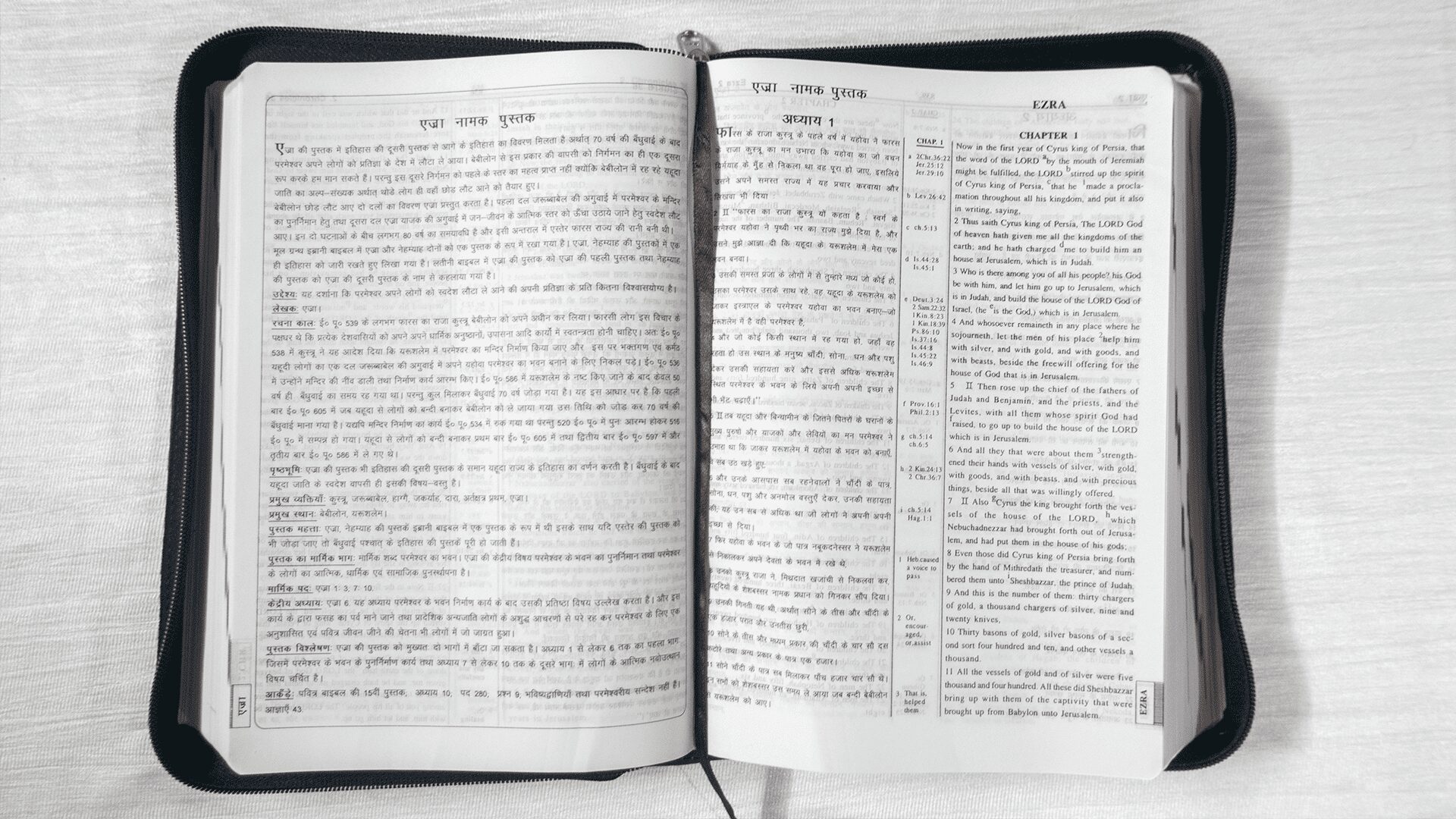 kjv bible in hindi