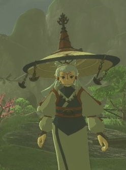 botw paya