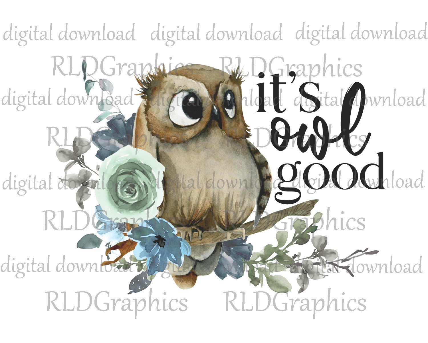 cute owl sayings