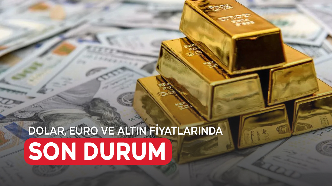 1166 dolar kaç tl