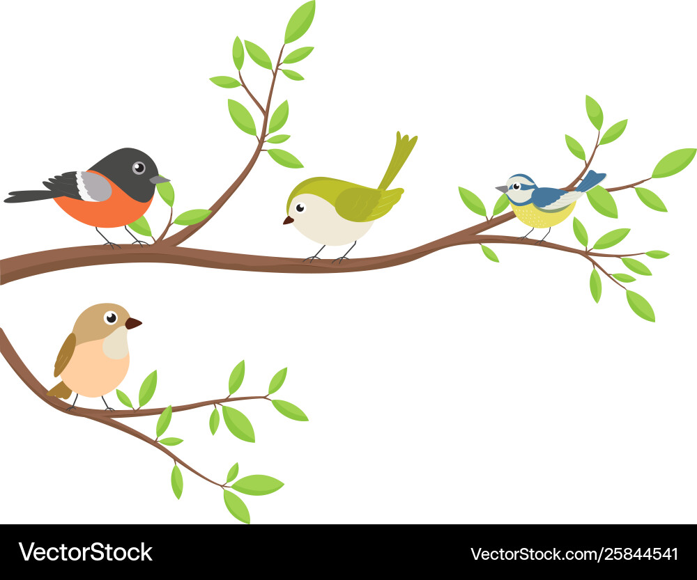 cute bird on branch