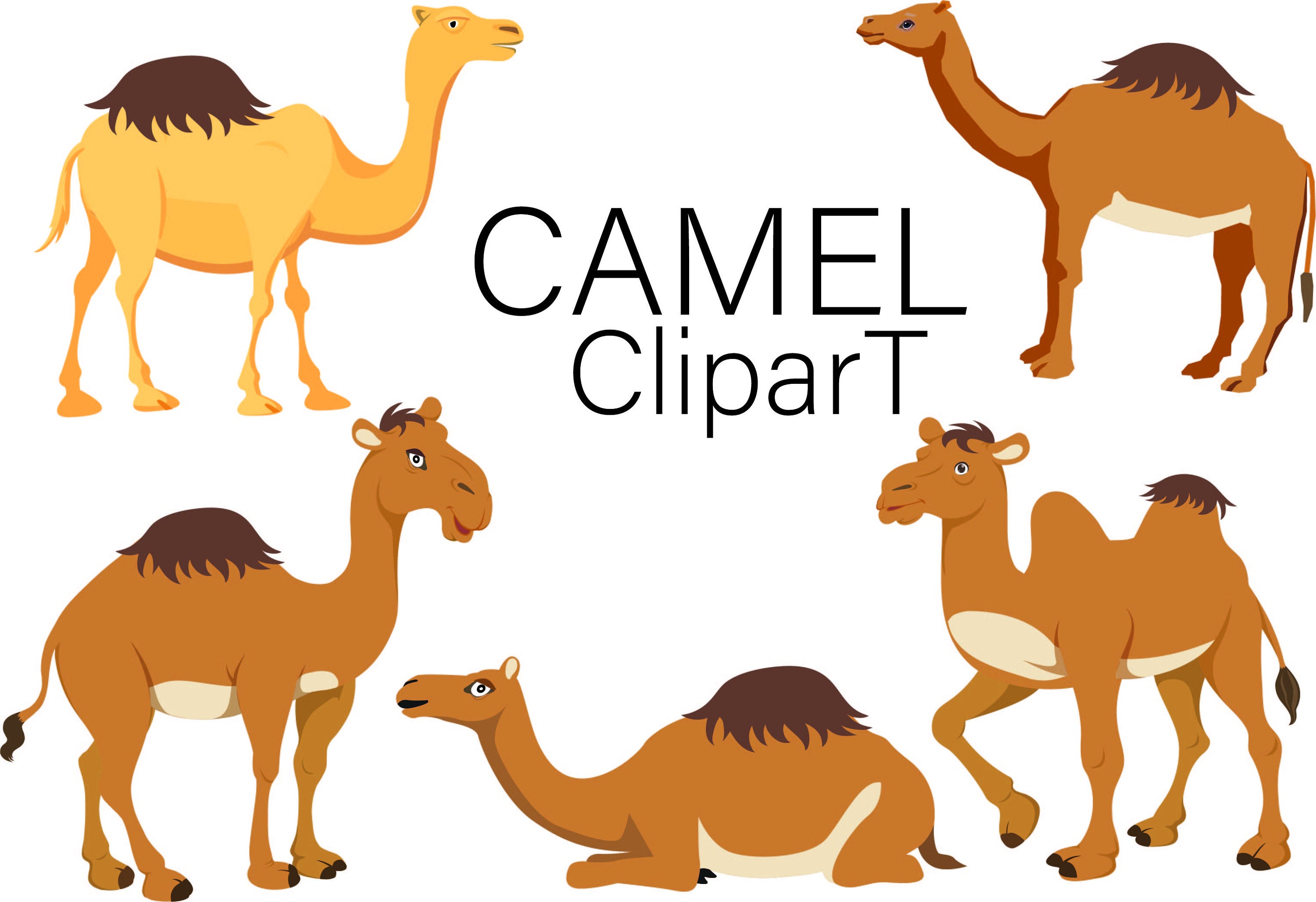 camel clipart