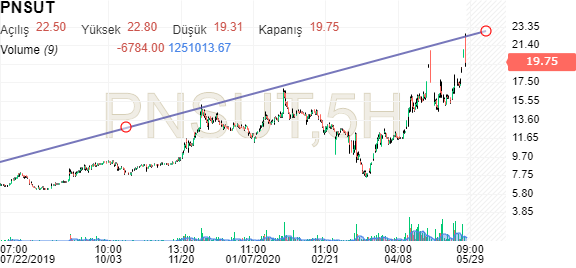 investing pınar süt