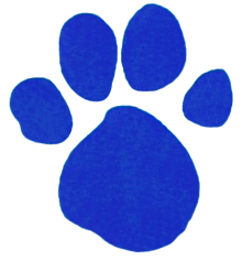 blues clues paw print