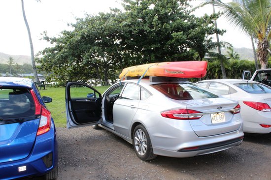 kayak hire car