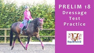 dressage test prelim 18