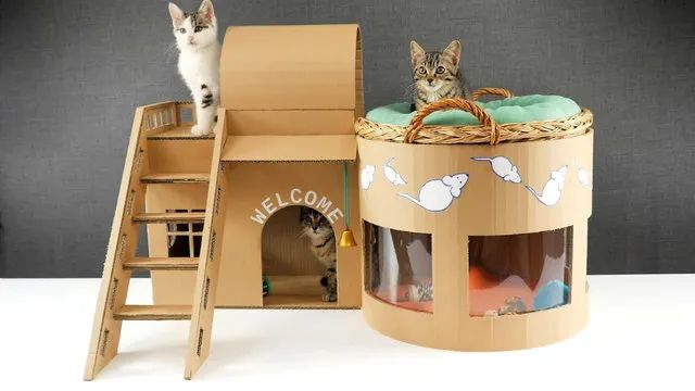 cardboard diy cat house