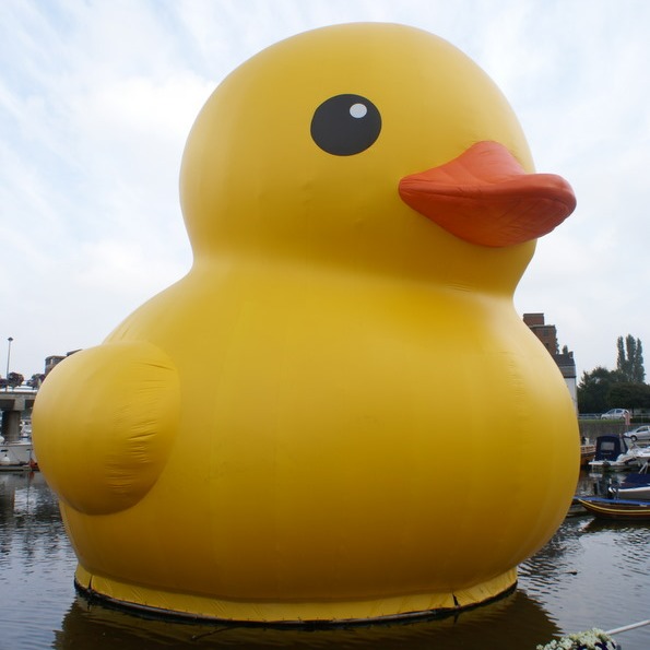 rubber duck in leonardtown md